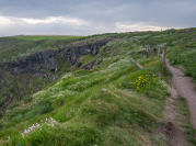 Ballycotton Cliff Walk